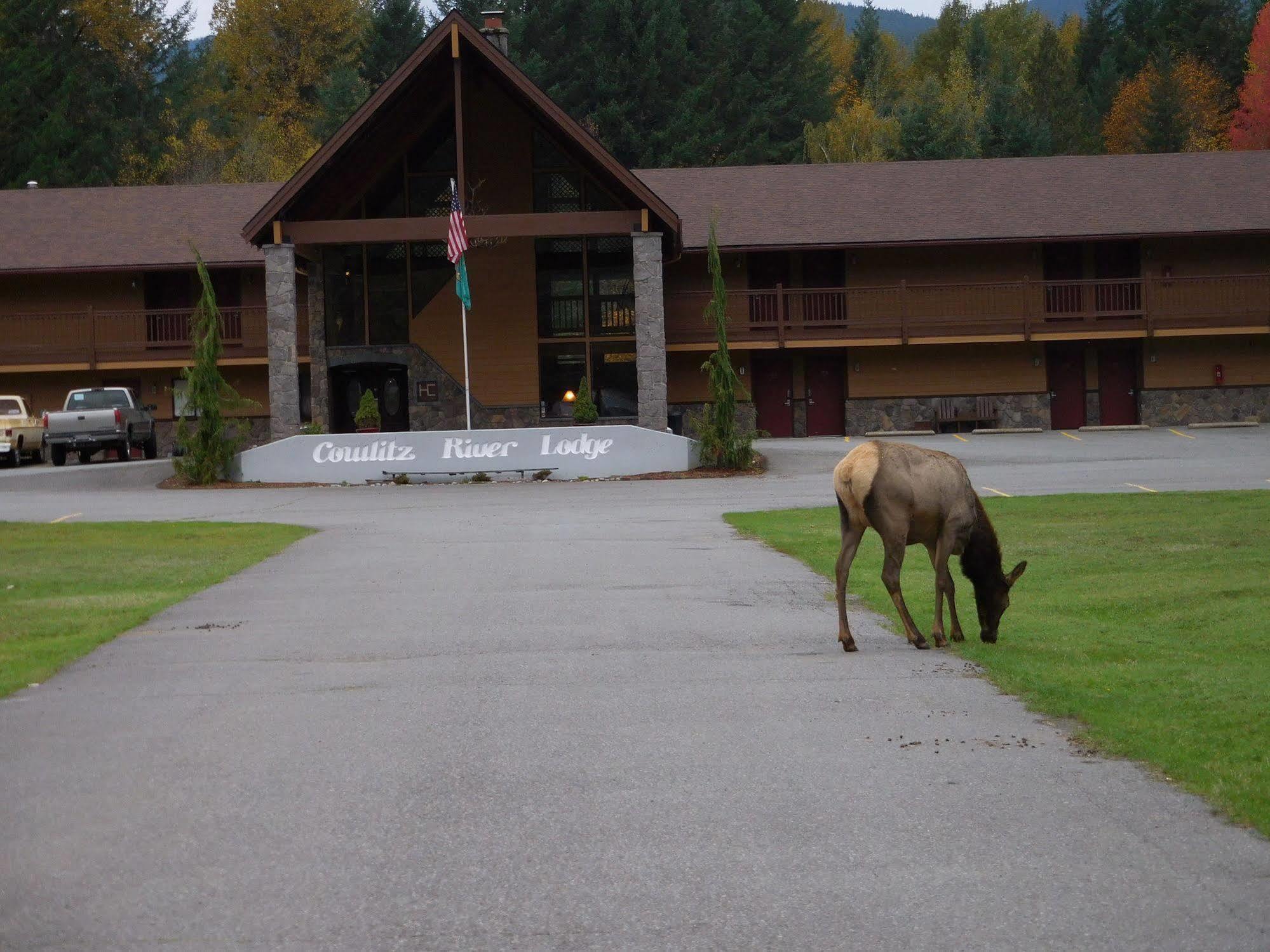 Cowlitz River Lodge Packwood Exterior foto